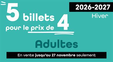 Image for: ADULTE - 5 BILLETS POUR LE PRIX DE 4